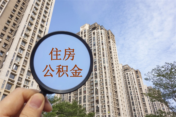 莒县辞职多久公积金可以全部取出来吗（辞职之后公积金多长时间可以取）